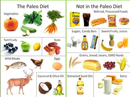 What is Paleo Diet
