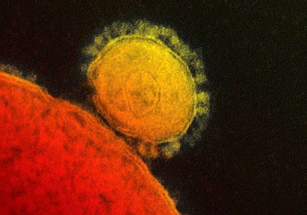 MERS-virus