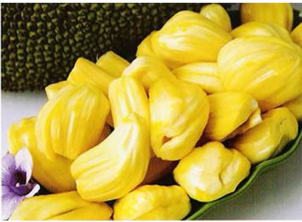 jackfruit