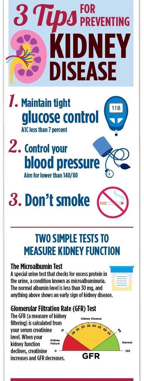 infographic-3-tips-for-preventing-kidney-disease-health-blog-centre