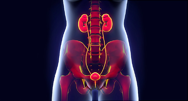 4 Hidden Causes of Bladder Pain: Know the Signs – Health ...