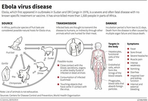 ebola-virus-facts