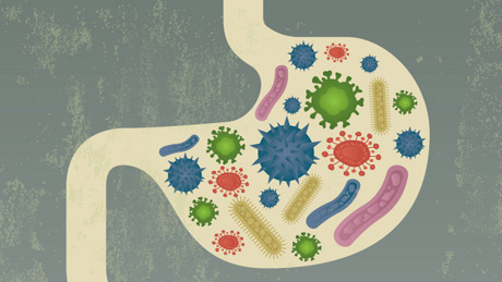 Infographic How Gut Bacteria Affects The Brain And Body Health Blog