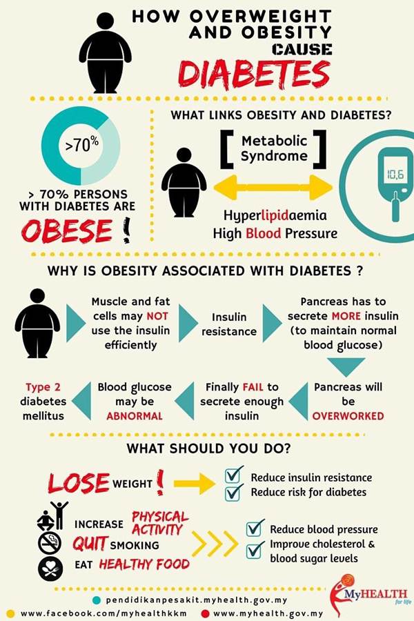 Infographic : How Overweight and Obesity Cause Diabetes - Health Blog ...